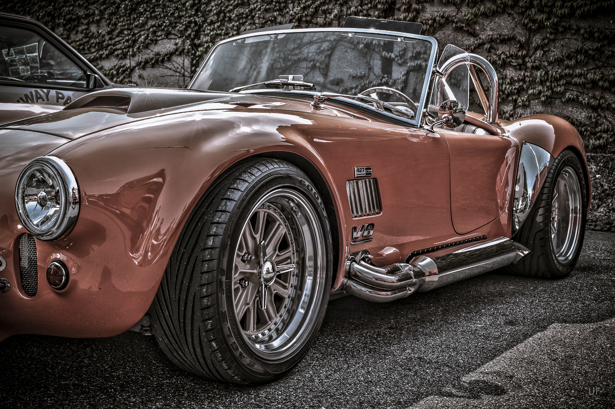 20140412 DSC 0202 Cobra